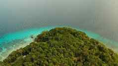 景观椰子树绿松石环礁湖
