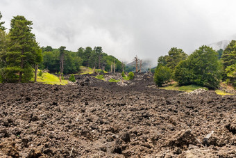 山埃特纳火山火山景观典型的植被西西里