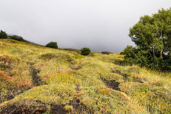 山埃特纳<strong>火山火山</strong>景观典型的植被西西里