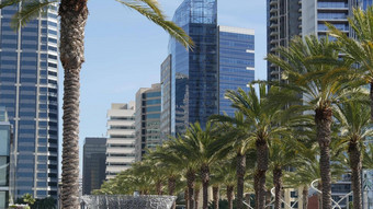 大都市城市天际线市中心三迭戈城市加州美国高层建筑摩天大楼外观金融区当代体系结构未来主义的现代高业务塔美国