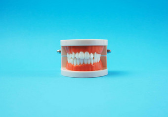 塑料模型人类下巴白色<strong>牙齿</strong>蓝色的背景