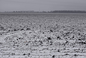 耕种农业场雪农业乌克兰