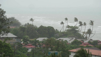 pabuk<strong>台风</strong>海洋海海岸泰国自然灾难眼壁飓风强大的极端的强热带风暴风摇摆棕榈树热带洪水雨季节重热带风暴天气雷雨