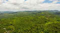 山热带雨林菲律宾棉兰老岛