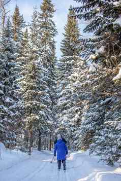 女孩蓝色的夹克滑雪雪森林冬天
