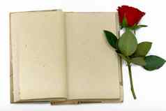 日记打开表红色的玫瑰