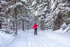 女孩红色的夹克滑雪雪森林冬天