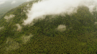 山覆盖热带雨林菲律宾siargao