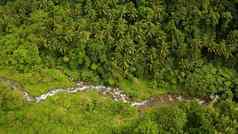 河流动山丛林菲律宾甘米银