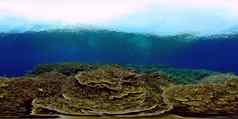 珊瑚礁热带鱼水下菲律宾学位视图