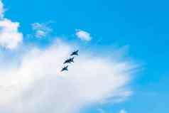战斗机飞机蓝色的天空集团
