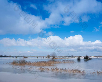 树已经冰洪水飞机洪水河莱茵库伦堡荷兰蓝色的天空
