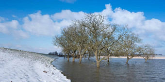 树水洪水飞机洪水河莱茵库伦堡荷兰蓝色的天空