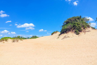 沙子沙丘覆盖绿色植物蓝色的天空