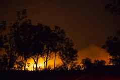 森林大火森林明亮的火litchfield国家公园澳大利亚