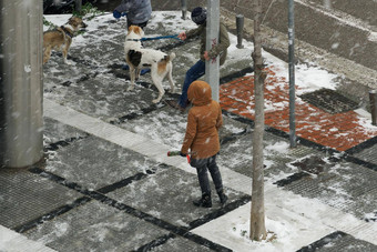 塞萨洛尼基希腊<strong>狗主人</strong>走宠物皮带雪