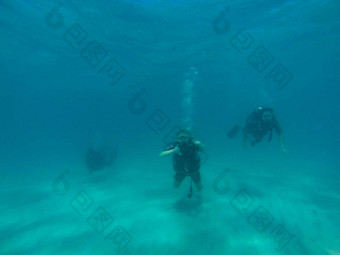 伟大的障碍礁澳大利亚10月潜水潜水旅游游泳伟大的障碍礁澳大利亚