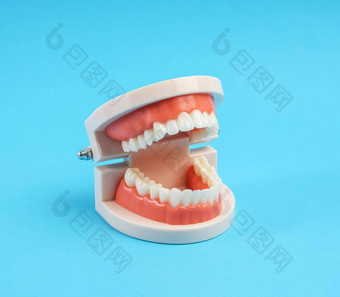 塑料模型人类下巴白色牙齿蓝色的背景