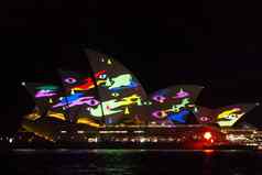 悉尼澳大利亚悉尼歌剧房子生动的悉尼节日生动的悉尼户外年度文化事件特色身临其境的光安装预测
