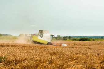 旋转稻草沃克减少脱粒成熟的小麦粮食结合矿车粮食头宽糠撒布机收获麦片耳朵收集作物农业机械场夏天季节