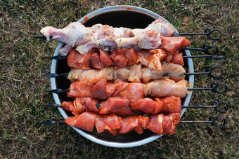 生猪肉串鸡大腿减少块肉烧烤串户外烹饪野餐旅行前视图