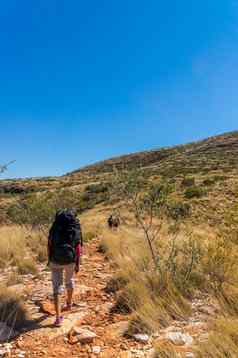 徒步旅行者前山没有爱丽丝弹簧中央澳大利亚西麦克唐纳国家公园澳大利亚