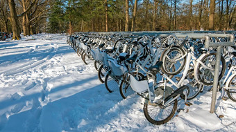 很多雪自行车国家公园霍格Veluwe荷兰冬天