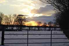美丽日落多云的天空牛门前景