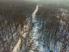 冬天森林清算清算空中视图森林覆盖雪鸟的眼睛视图