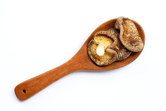 干香菇蘑菇木勺子白色