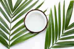 一半椰子热带棕榈叶子白色背景前视图