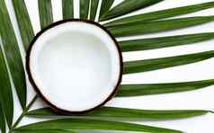 一半椰子热带棕榈叶子白色背景前视图