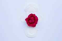 白色卫生餐巾红色的玫瑰白色