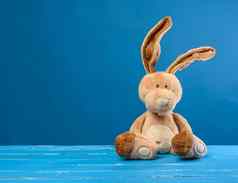 有趣的米色豪华的兔子大耳朵有趣的脸蓝色的背景