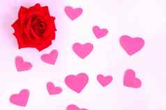 红色的玫瑰粉红色的背景模板概念情人节一天主题问候卡宣言爱