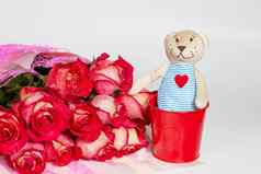 花束红色的玫瑰礼物纸包软玩具熊