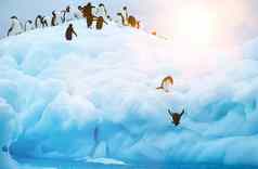 企鹅潜水冰川海