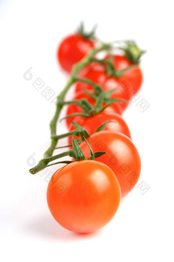 番茄