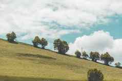 田园景观风景夏天树绿色草地蓝色的天空