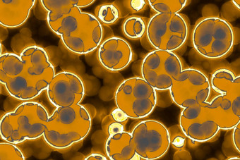 形状细菌细胞收拾残局杆菌斯皮里拉细菌