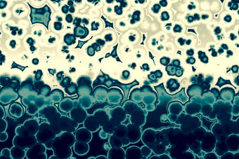 形状细菌细胞收拾残局杆菌斯皮里拉细菌