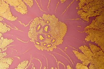 埃布鲁大理石花纹艺术花模式摘要背景模板