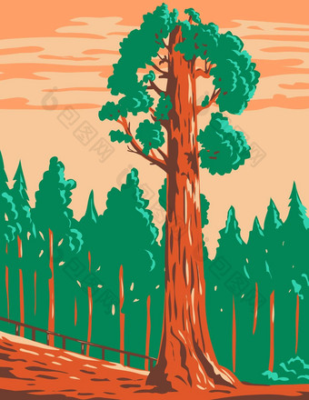 一般格兰特树巨大的红杉资本巨巨型国王峡谷国家公园加州水渍险海报艺术