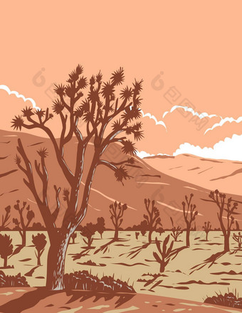 约书亚树莫哈韦沙漠沙漠约书亚树国家公园加州内华达水渍险海报艺术