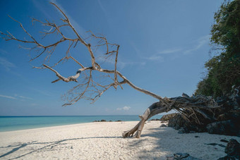 美丽的白色沙子海滩清晰的蓝色的海竹子岛KOH五月pai斐斐岛国家公园甲米<strong>安达曼</strong>泰国