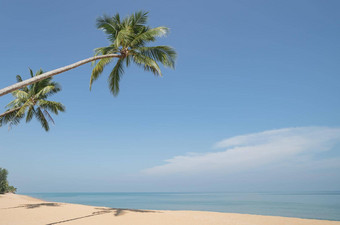 椰子棕榈树桑迪海滩<strong>蓝色</strong>的<strong>天空</strong>