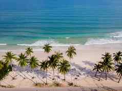 春蓬省白色热带海滩棕榈树wua莱恩海滩春蓬区域泰国棕榈树挂海滩夫妇假期泰国