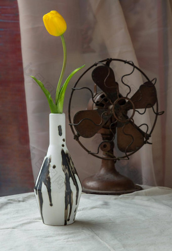 黄色的花黑色的白色手工制作的陶瓷花瓶古董风扇白色变形表格布水泥墙
