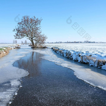 草地景观覆盖雪树冻运河荷兰