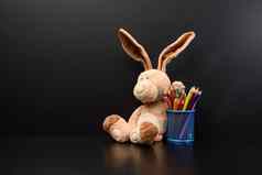 可爱的兔子坐背景黑色的粉笔董事会回来学校